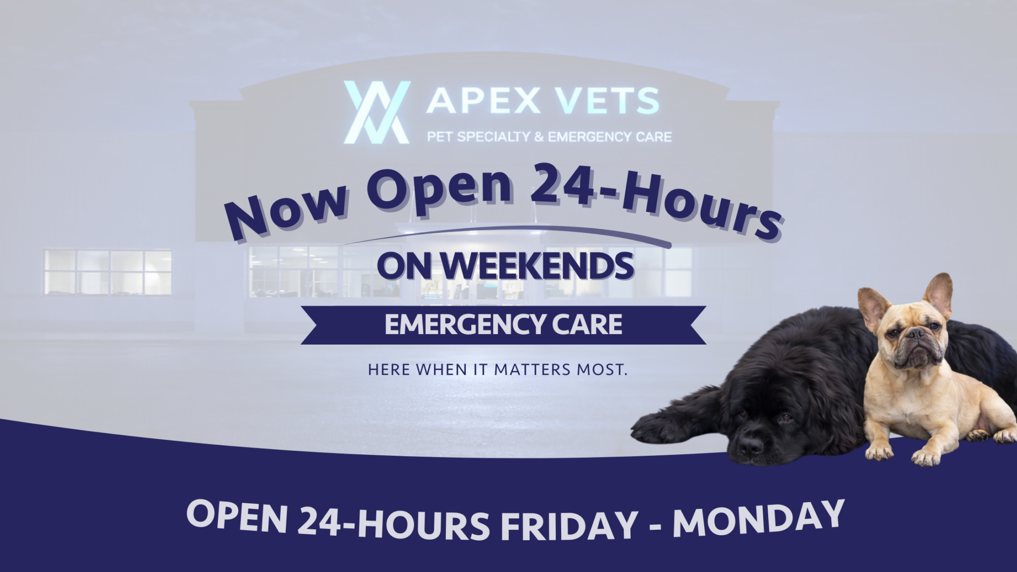 24 3 Now Open Pop Up Apex (1)