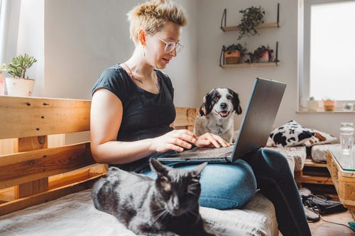 pet-owner-working-on-computer-on-the-couch-surrounded-by-a-dog-on-the-left-and-cat-on-the-right