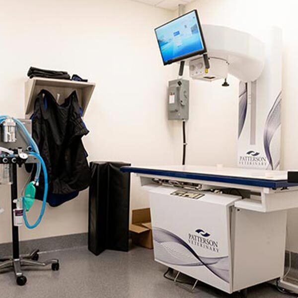 Digital Xray Machine Mobile