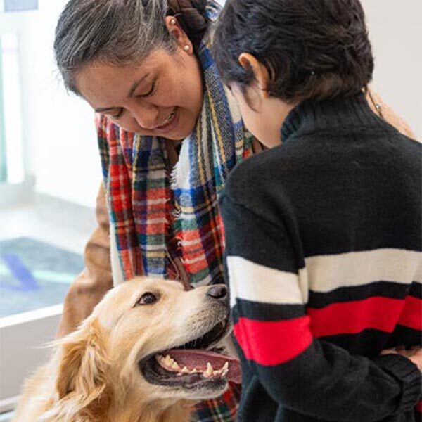 Dog Owners Petting Golden Retriever Mobile