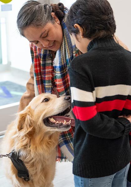 Dog Owners Petting Golden Retriever