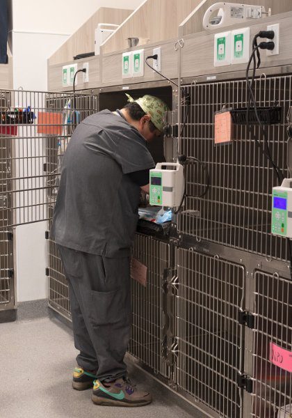 male doctor wearing scrub cap reaching into cage to check on patient in ICU